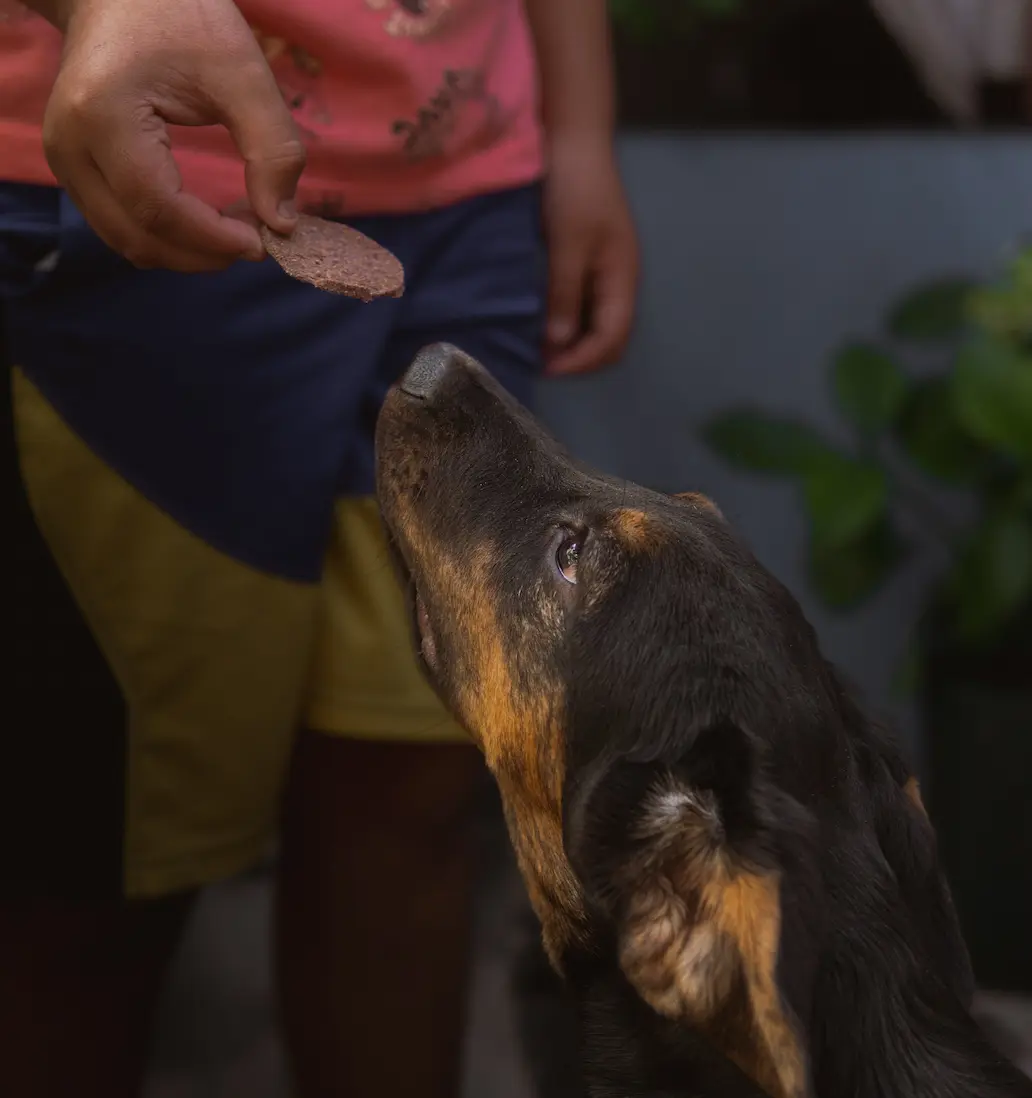 Woofer's Galletas de Proteína KRAFT - Imagen 2